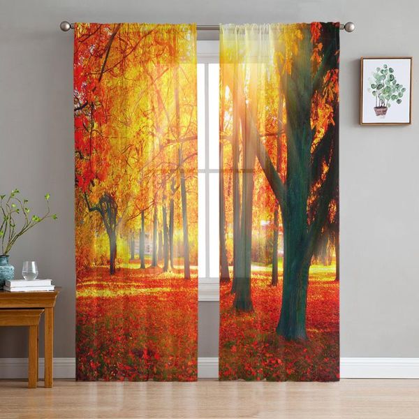 curtain & drapes autumn forest landscape tulle curtains for living room sheer bedroom voile decorative window treatments
curtain & drapes autumn forest landscape tulle curtains for living room sheer bedroom voile decorative window treatments