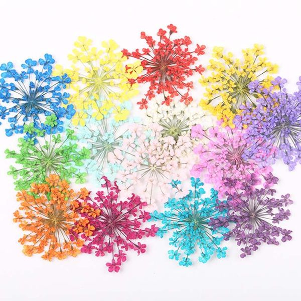 decorative flowers & wreaths 12 pieces of natural flower dry plant epoxy pendant necklace jewelry craft diy accessories
decorative flowers & wreaths 12 pieces of natural flower dry plant epoxy pendant necklace jewelry craft diy accessories
