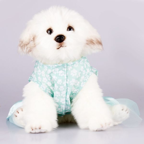 spring summer clothes cat printed gauze small and medium dog polyester light blue skirt pet products
spring summer clothes cat printed gauze small and medium dog polyester light blue skirt pet products