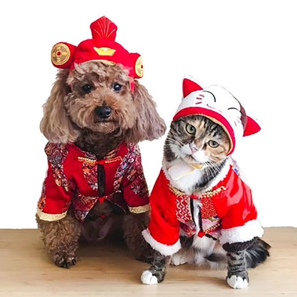 dog apparel cosplay funny pet hair accessories costume cute cat caps headwear hat for dress up party decoration
dog apparel cosplay funny pet hair accessories costume cute cat caps headwear hat for dress up party decoration