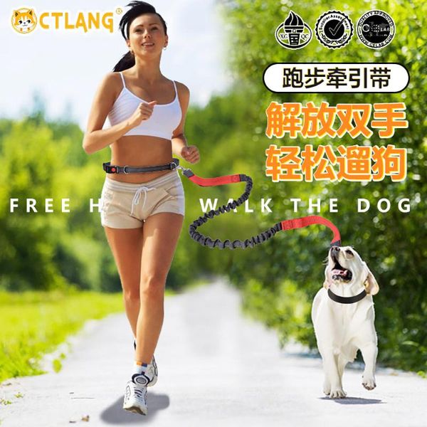hands dog leash collar pet elastic belt running set accessories puppy reflective harness for animals collars & leashes
hands dog leash collar pet elastic belt running set accessories puppy reflective harness for animals collars & leashes