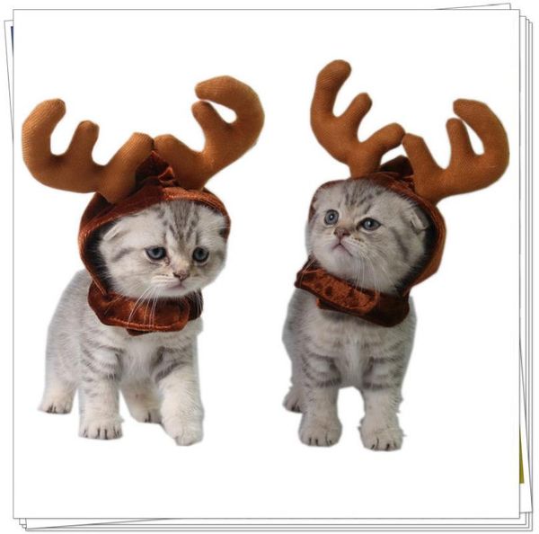cat costumes cute christmas headdress for dog pet xmas headband hat puppy costume accessories
cat costumes cute christmas headdress for dog pet xmas headband hat puppy costume accessories