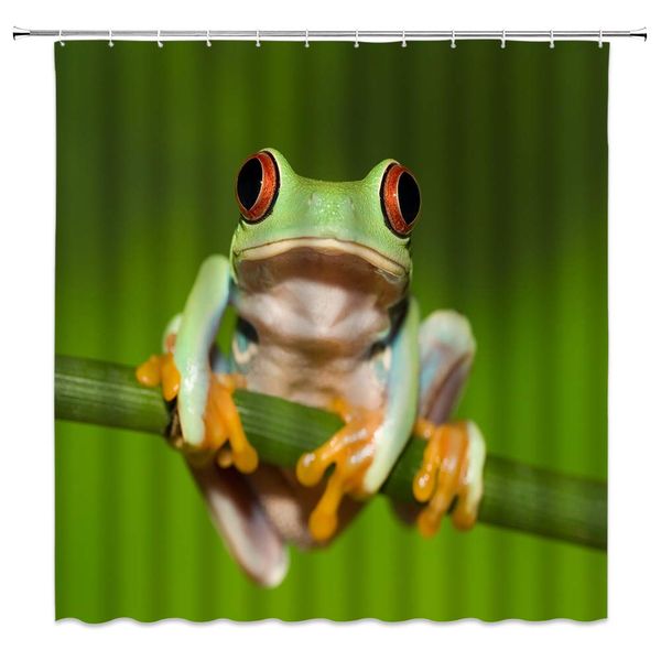 funny animal shower curtain decor tree frog lying on the branch rainforest life green fabric bath curtains bathroom accessories
funny animal shower curtain decor tree frog lying on the branch rainforest life green fabric bath curtains bathroom accessories