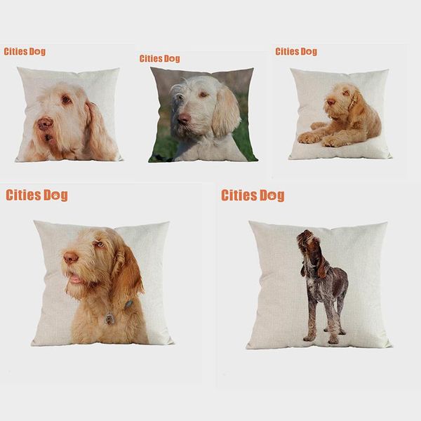 spinone dog decorative cushion cover pillows coussin animal italiano dogs linen car sofa throw pillow almofada cushion/decorative
spinone dog decorative cushion cover pillows coussin animal italiano dogs linen car sofa throw pillow almofada cushion/decorative
