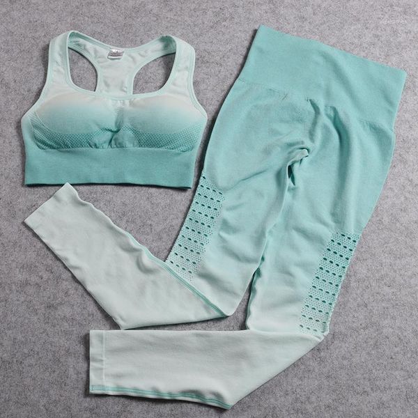 yoga outfit ombre seamless set sport for woman 2 piece gym clothing workout women's sports fitness suit active wear
yoga outfit ombre seamless set sport for woman 2 piece gym clothing workout women's sports fitness suit active wear
