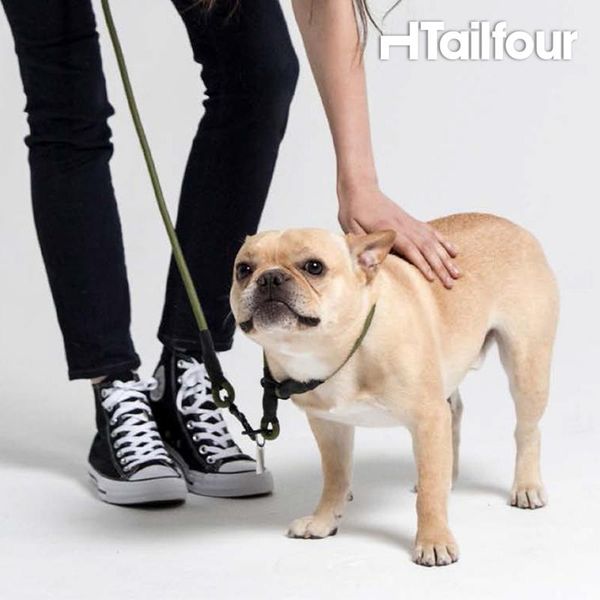 dog collars & leashes running leash rope leads pet small dogs puppy luxury harness hundeleine beagle jogging safety light pug dd55qy
dog collars & leashes running leash rope leads pet small dogs puppy luxury harness hundeleine beagle jogging safety light pug dd55qy