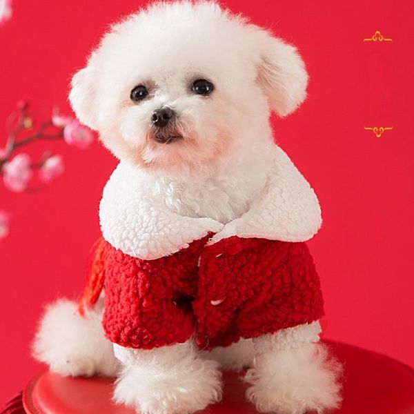 dog apparel year's cotton clothes thickened warm puppy tang dress teddy than bear cat small winter autumn and
dog apparel year's cotton clothes thickened warm puppy tang dress teddy than bear cat small winter autumn and