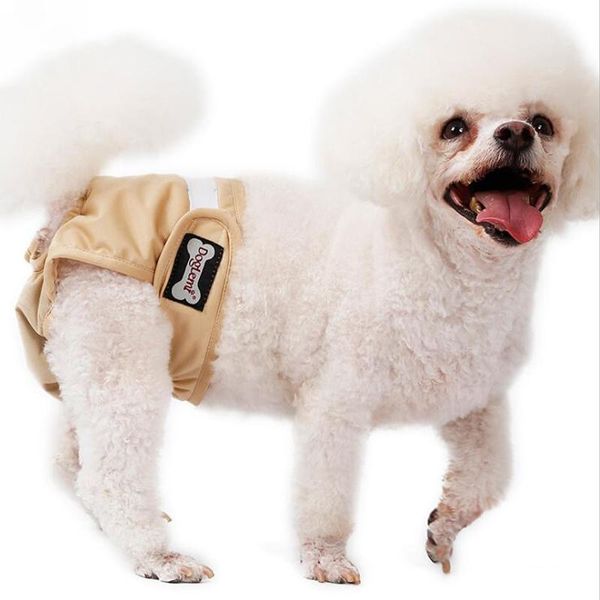 dog apparel breathable female shorts puppy physiological pants sanitary pet diaper anti-harassment health underwear for girl
dog apparel breathable female shorts puppy physiological pants sanitary pet diaper anti-harassment health underwear for girl
