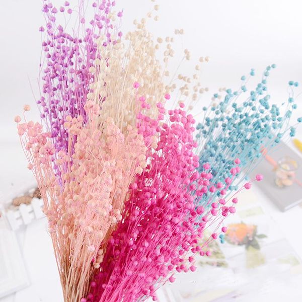 natural dried flowers bouquet small beans berries plants wedding flower bunch for home easter christmas decor fake decorative & wreaths
natural dried flowers bouquet small beans berries plants wedding flower bunch for home easter christmas decor fake decorative & wreaths