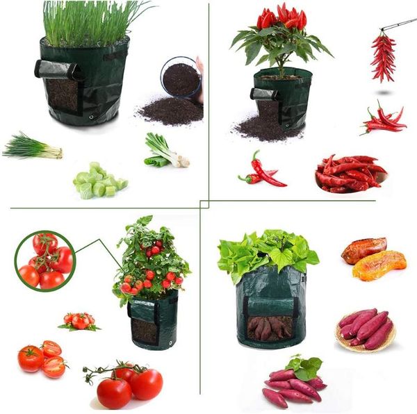 planters & pots garden potato grow bag, planting bag with handles&flap for vegetables,tomato,carrot, onion,fruits,potatoes-growing-container
planters & pots garden potato grow bag, planting bag with handles&flap for vegetables,tomato,carrot, onion,fruits,potatoes-growing-container