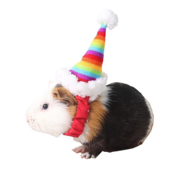 dog apparel 3pcs/set cute christmas hat pet small animal hamster guinea pig winter for costume accessories 2021
dog apparel 3pcs/set cute christmas hat pet small animal hamster guinea pig winter for costume accessories 2021