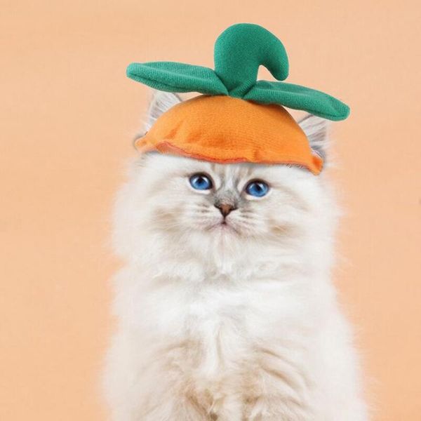 cat costumes 2021 halloween cute pet headdress funny headgear, dog, cat, pumpkin head hat soft texture unlimited size
cat costumes 2021 halloween cute pet headdress funny headgear, dog, cat, pumpkin head hat soft texture unlimited size
