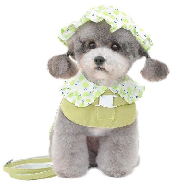 dog collars & leashes pet clothes s-xl sizes multi colors leash harness accessories for small dogs floral printing
dog collars & leashes pet clothes s-xl sizes multi colors leash harness accessories for small dogs floral printing