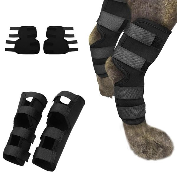 dog apparel 1 set pet knee pads brace straps protection for leg hock joint wrap breathable injury recover legs supplies
dog apparel 1 set pet knee pads brace straps protection for leg hock joint wrap breathable injury recover legs supplies
