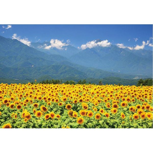 party decoration sunflower blooming backdrop blue sky mountains background wedding po pography studio props family holiday
party decoration sunflower blooming backdrop blue sky mountains background wedding po pography studio props family holiday