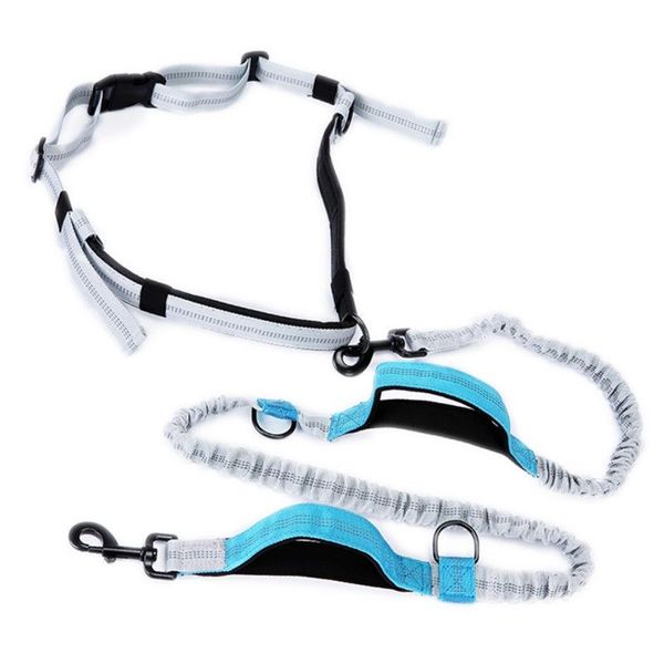 dog collars & leashes adjustable nylon collar puppy cat tag and leash personalized pet for medium large dogs
dog collars & leashes adjustable nylon collar puppy cat tag and leash personalized pet for medium large dogs