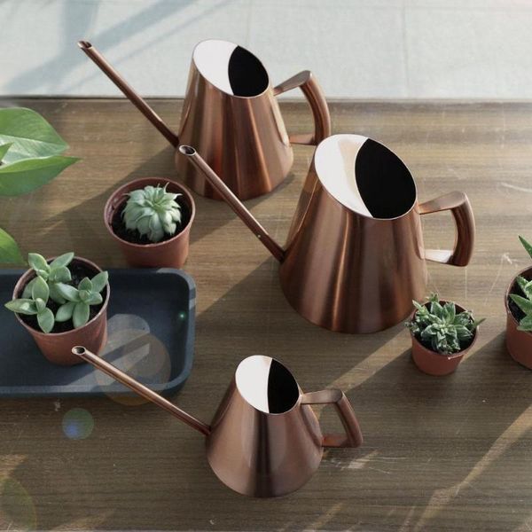 watering equipments stainless steel pot gardening potted small can use handle perfect for flower plants shower garden
watering equipments stainless steel pot gardening potted small can use handle perfect for flower plants shower garden