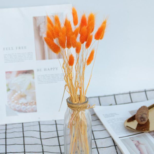 dried flower bouquet artificial lagurus ovatus decoration for home el wedding tsh shop decorative flowers & wreaths
dried flower bouquet artificial lagurus ovatus decoration for home el wedding tsh shop decorative flowers & wreaths