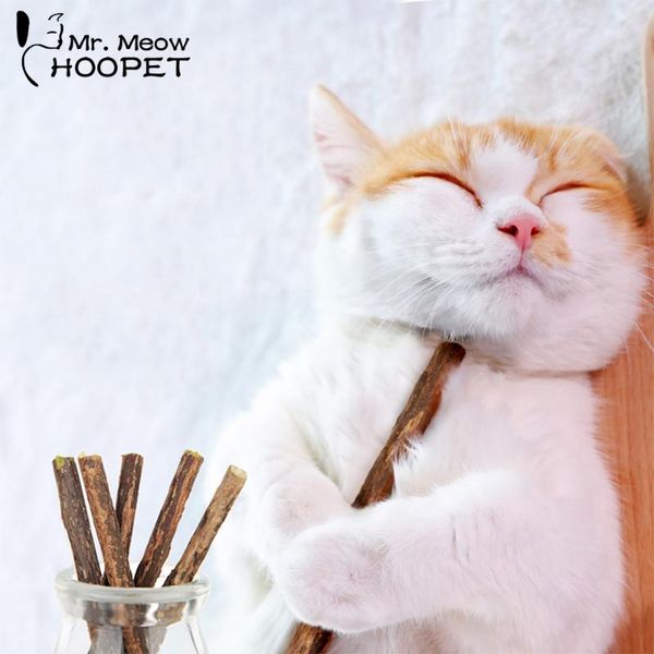 cat toys hoopet pet toy natural catnip stick for cats healthy safe edible treating small kitten supplies
cat toys hoopet pet toy natural catnip stick for cats healthy safe edible treating small kitten supplies