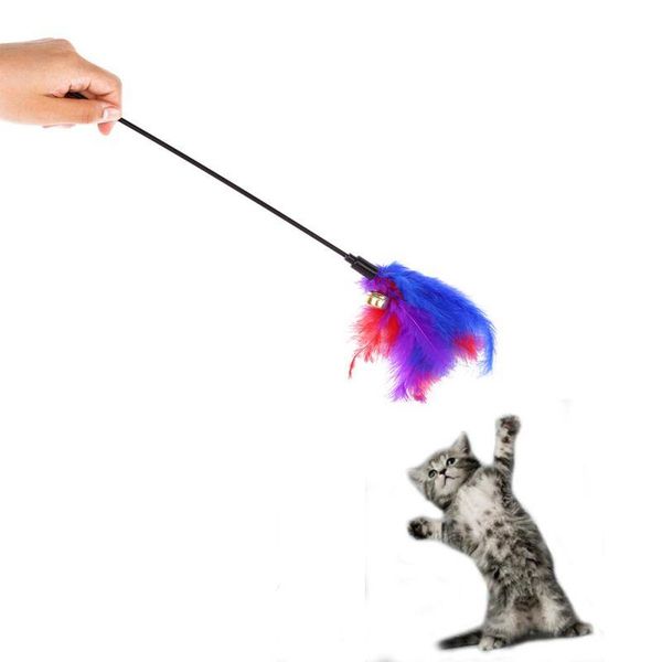 cat toys 3 sets of turkey pet short rod feather toy funny dog mouse length 28cm random color soft comfortable supplies
cat toys 3 sets of turkey pet short rod feather toy funny dog mouse length 28cm random color soft comfortable supplies