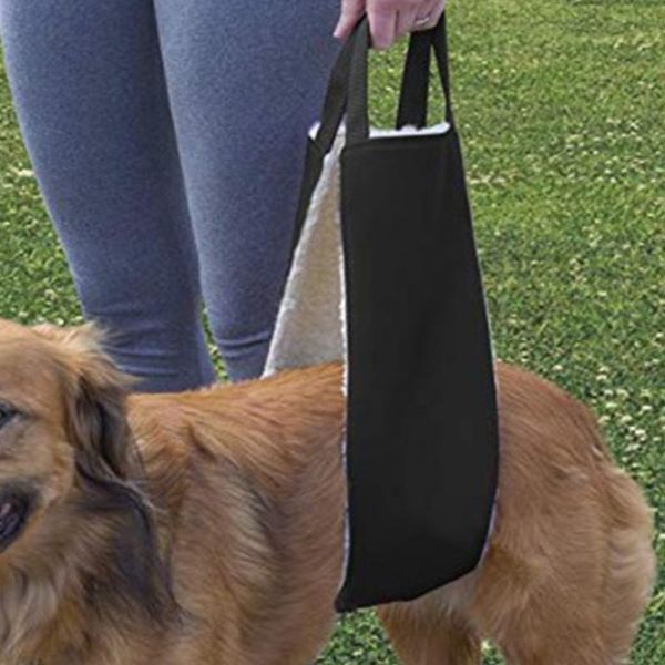 elderly disabled dog leg lifting belt fitness recovery universal safety car auxiliary handle grip (black) seat covers
elderly disabled dog leg lifting belt fitness recovery universal safety car auxiliary handle grip (black) seat covers