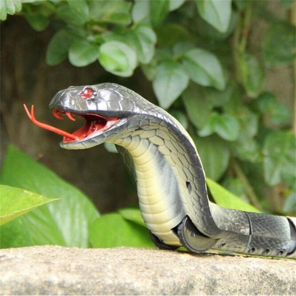 party masks rc infrared remote control snake and egg rattlesnake animal trick terrifying mischief toys for children funny novelty gift
party masks rc infrared remote control snake and egg rattlesnake animal trick terrifying mischief toys for children funny novelty gift