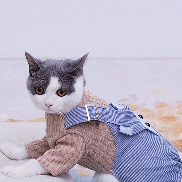 small dogs puppy coat pet clothing spring elastic corduroy one-piece strap pants dog four legged cloth windproof thicken coat cat costumes
small dogs puppy coat pet clothing spring elastic corduroy one-piece strap pants dog four legged cloth windproof thicken coat cat costumes