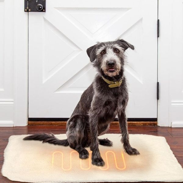 carpets pet electric heating pad blanket mat bed cat dog animal winter warmer heated accessories s-l
carpets pet electric heating pad blanket mat bed cat dog animal winter warmer heated accessories s-l