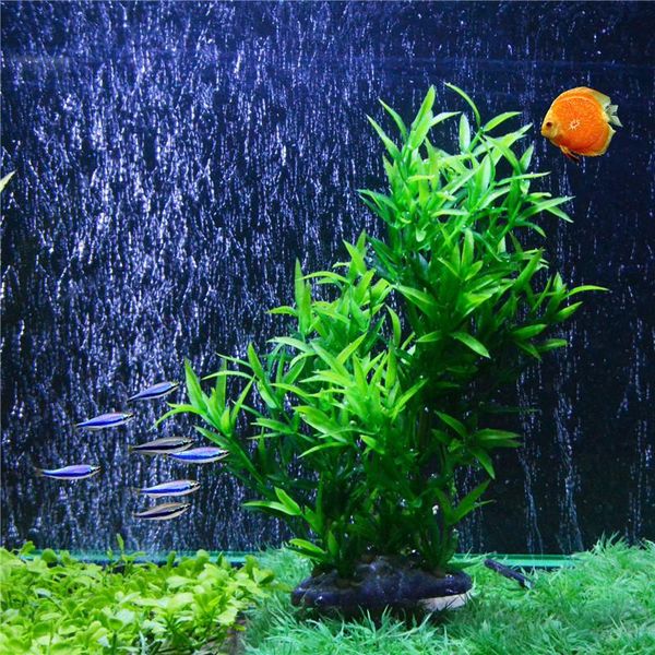 saim aqaurium plants plastic water grass fish tank decoration ornaments acuarios artificial bamboo aquariums decoroations decorations
saim aqaurium plants plastic water grass fish tank decoration ornaments acuarios artificial bamboo aquariums decoroations decorations