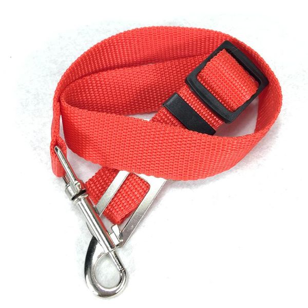 pet dog cat safety seatbelt for car vehicle seat belt harness lead adjustable colorful round ball with small bell toy ring covers
pet dog cat safety seatbelt for car vehicle seat belt harness lead adjustable colorful round ball with small bell toy ring covers