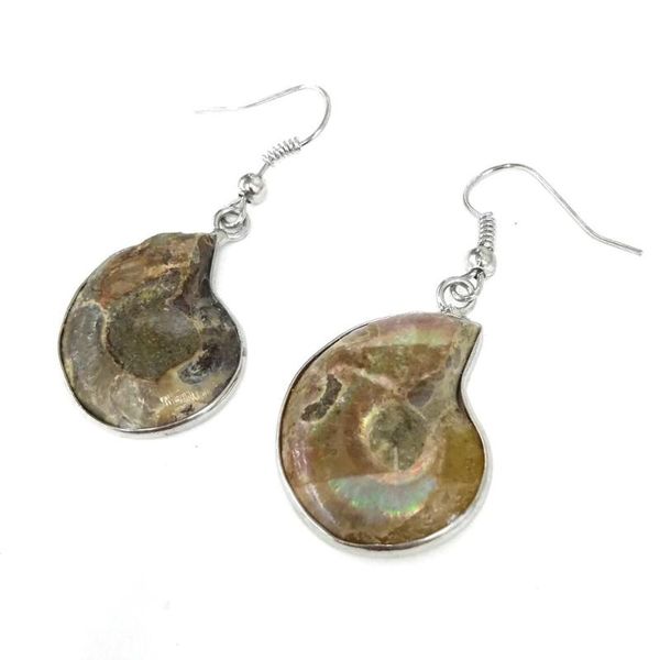 dangle & chandelier shell earring a pair irregular simplicity for women diy jewelry earrings accessories size 25 mm, Silver
dangle & chandelier shell earring a pair irregular simplicity for women diy jewelry earrings accessories size 25 mm, Silver