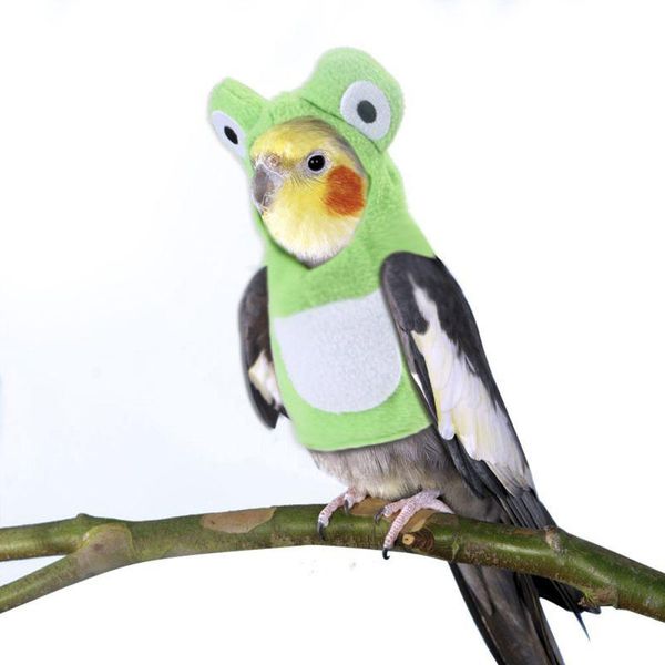 other bird supplies cute clothes parrot winter coat warm hooded apparel party costume s/m/l*
other bird supplies cute clothes parrot winter coat warm hooded apparel party costume s/m/l*
