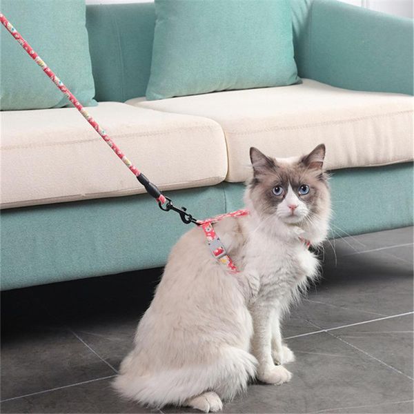 cat collars & leads 2021 harness leash traction set adjustable pet collar outdoor walking for puppy kitten
cat collars & leads 2021 harness leash traction set adjustable pet collar outdoor walking for puppy kitten