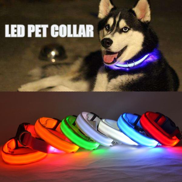 dog collars & leashes nylon led pet collar night safety supplies flashing in dark dogs luminous fluorescent for small cats
dog collars & leashes nylon led pet collar night safety supplies flashing in dark dogs luminous fluorescent for small cats
