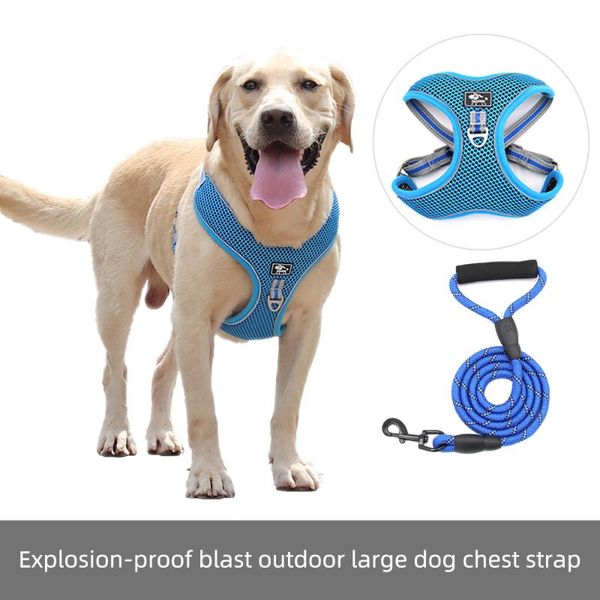 dog collars & leashes personalized accessories pet harness leash medium large dogs vest reflective breathable braces for supplies
dog collars & leashes personalized accessories pet harness leash medium large dogs vest reflective breathable braces for supplies