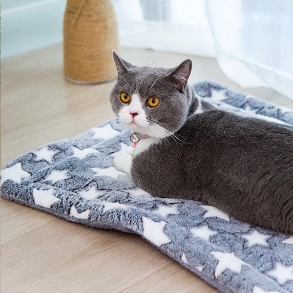 small animal supplies plus velvet padded cat cage platform mat warm flannel pet blanket kennel
small animal supplies plus velvet padded cat cage platform mat warm flannel pet blanket kennel