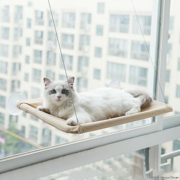 cat beds & furniture hammock window bed and lounger sofa pet mounted seat home suction cup mat kitten mount
cat beds & furniture hammock window bed and lounger sofa pet mounted seat home suction cup mat kitten mount