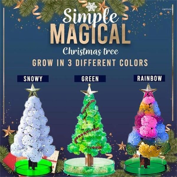 christmas decorations magic tree gift paper growing toy boys girls novelty xmas 20ml growth blossom home1
christmas decorations magic tree gift paper growing toy boys girls novelty xmas 20ml growth blossom home1
