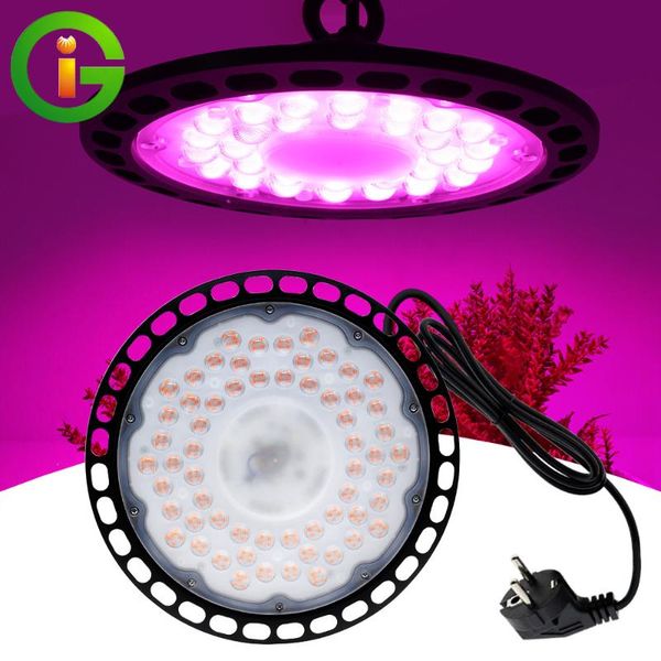 grow lights 100w 150w 200w led light full spectrum veg bloom growth lamp ip65 waterproof phyto for indoor plant hydroponics system
grow lights 100w 150w 200w led light full spectrum veg bloom growth lamp ip65 waterproof phyto for indoor plant hydroponics system
