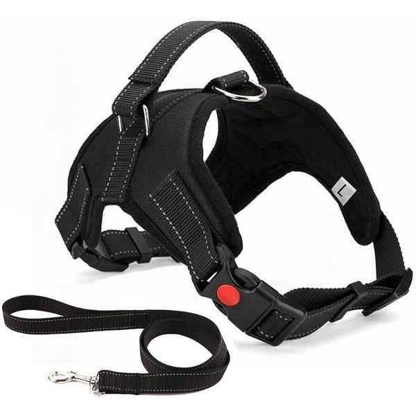 dog harness vest training for chihuahua puppy soft mesh pet dogs cats petshop collar cat chest strap collars & leashes
dog harness vest training for chihuahua puppy soft mesh pet dogs cats petshop collar cat chest strap collars & leashes