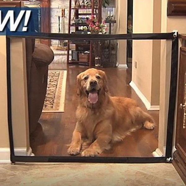 kennels & pens folding dog fence pet safety gate magic enclosure portable isolation net guard fences wf1015
kennels & pens folding dog fence pet safety gate magic enclosure portable isolation net guard fences wf1015