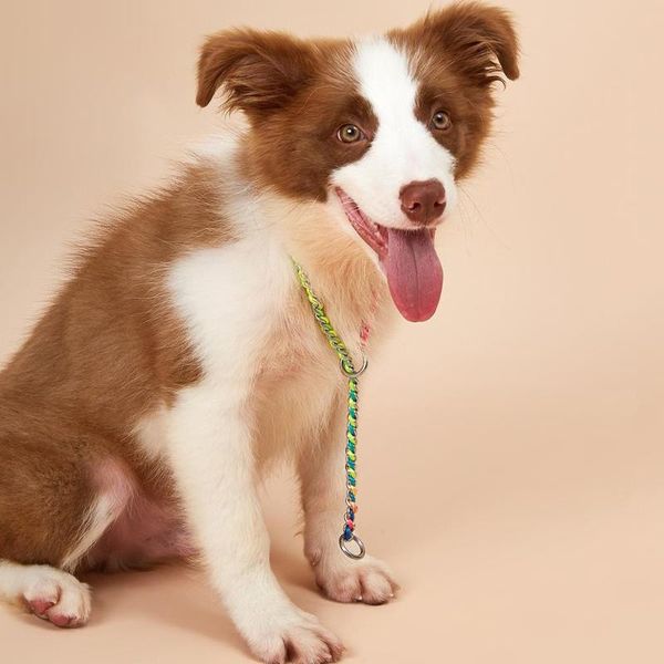 dog collars & leashes stainless steel collar no pull training with slip chain for small medium and large
dog collars & leashes stainless steel collar no pull training with slip chain for small medium and large