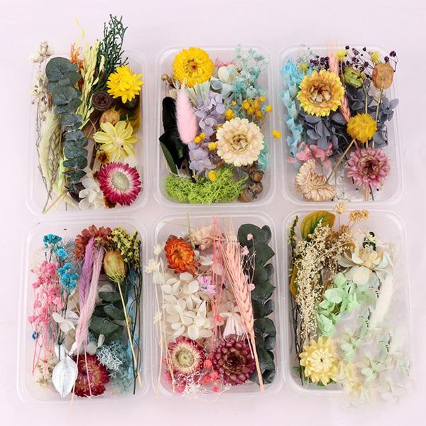 decorative flowers & wreaths real pressed flower mixed dried diy art floral decor nail pendant craft dropship artificial a
decorative flowers & wreaths real pressed flower mixed dried diy art floral decor nail pendant craft dropship artificial a