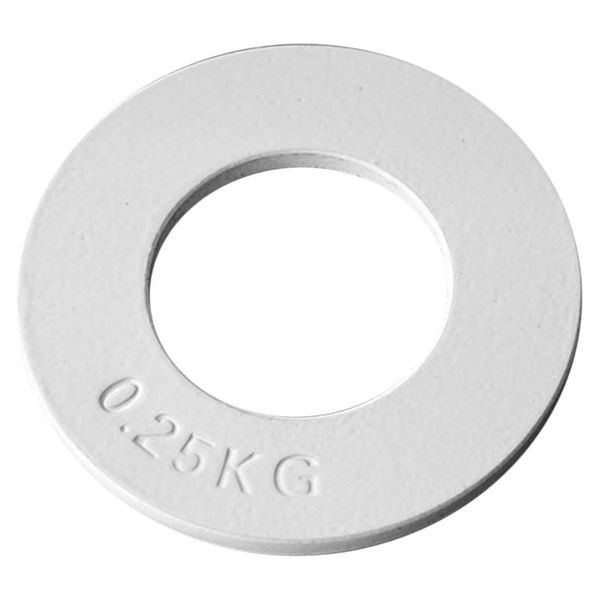 accessories -fractional weights fractional mini weight plates strength training accurate disk accessory
accessories -fractional weights fractional mini weight plates strength training accurate disk accessory