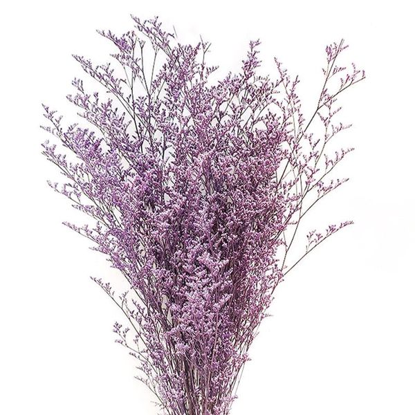 decorative flowers & wreaths 100g 50cm dried natural lover grass preserved dancing xmas wedding decorations 2022 year's home decor
decorative flowers & wreaths 100g 50cm dried natural lover grass preserved dancing xmas wedding decorations 2022 year's home decor