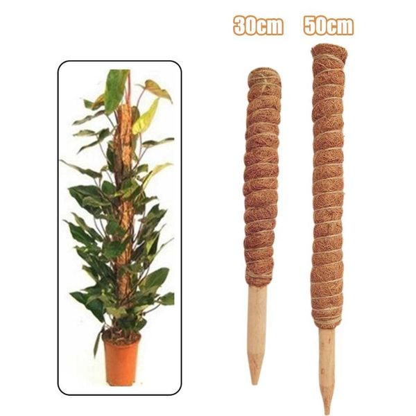 other garden supplies coir totem pole outdoor support office home climbing plants stick indoor creeper trelli frame balcony maintain moistur
other garden supplies coir totem pole outdoor support office home climbing plants stick indoor creeper trelli frame balcony maintain moistur