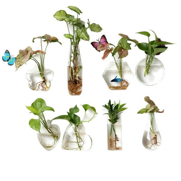 vases 1 pcs multi-style creative wall hanging glass flower vase fish tank aquarium container garden home decor accessories
vases 1 pcs multi-style creative wall hanging glass flower vase fish tank aquarium container garden home decor accessories