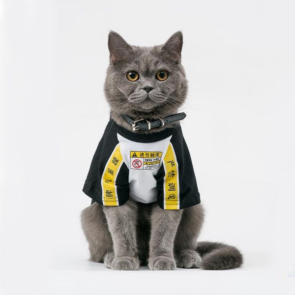 cat clothes sphinx pull chat costumes for cats plus size fashion kitten mascot hairless soft sweatshirt jerseys dog
cat clothes sphinx pull chat costumes for cats plus size fashion kitten mascot hairless soft sweatshirt jerseys dog