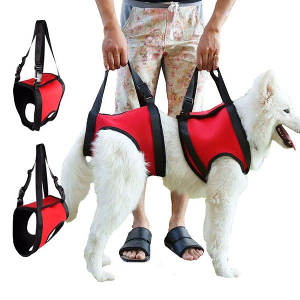 dog collars & leashes lift support harness sling vest old disabled pet accessories dogs collar leash auxiliary strap assist supplies
dog collars & leashes lift support harness sling vest old disabled pet accessories dogs collar leash auxiliary strap assist supplies