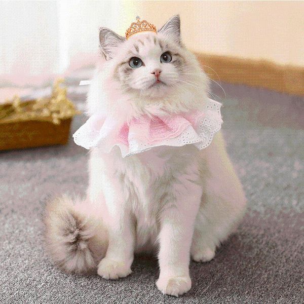 spring wear ladylike cat assessoires all- costume dress funny pet collar fantasy for kittens dogs supplies costumes
spring wear ladylike cat assessoires all- costume dress funny pet collar fantasy for kittens dogs supplies costumes
